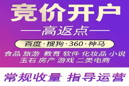 竞价端口开户全攻略，案例分析